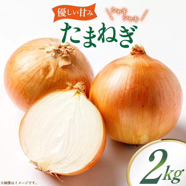 玉ねぎ 2kg [稲生ファーム 富山県 舟橋村 57050219] タマネギ たまねぎ