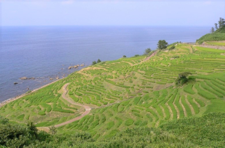 世界農業遺産　能登の里山里海