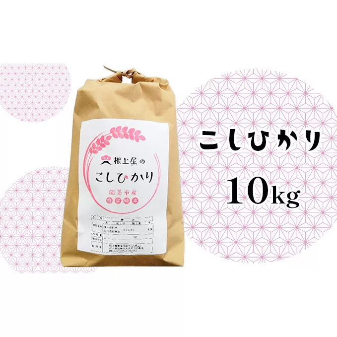 根上屋のこしひかり 10kg お米 コシヒカリ 米 
