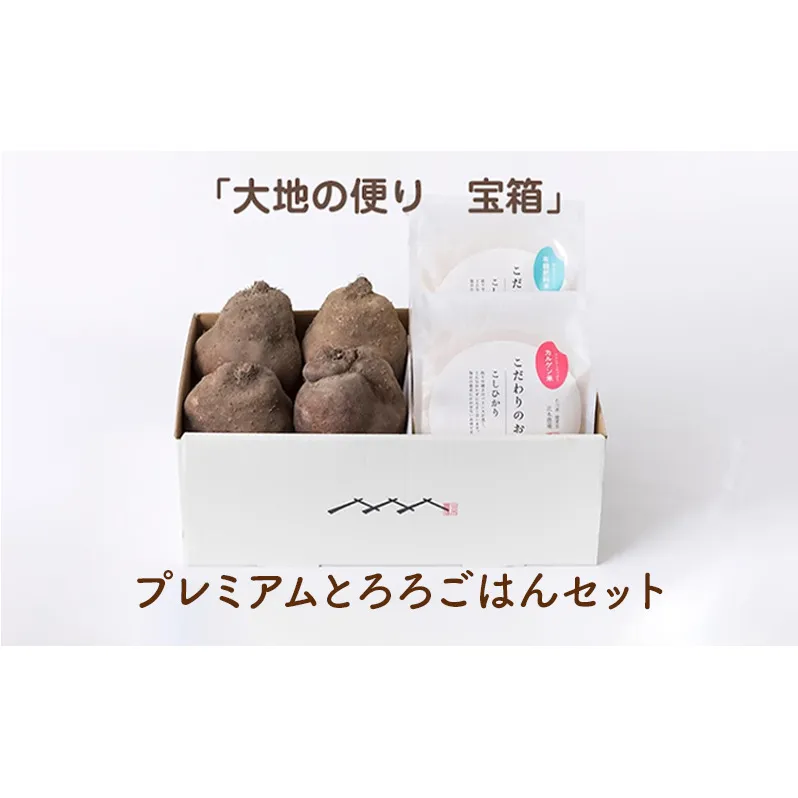 【大地の便り 宝箱】令和6年度産 プレミアムとろろごはんセット お米 野菜 野菜セット 根菜 ご飯 