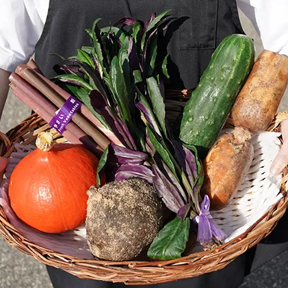 加賀野菜おまかせ便 セット 詰合せ 