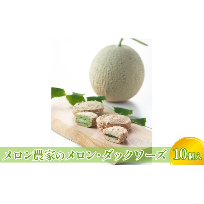 メロン農家のメロン・ダックワーズ10個入 お菓子 焼菓子 スイーツ 