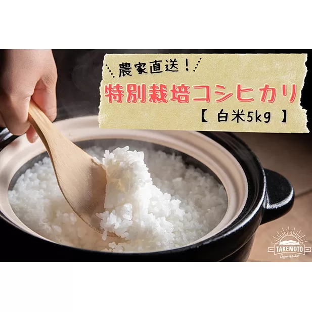 特別栽培コシヒカリ　白米5kg お米 