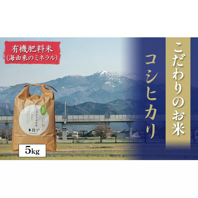 北本農場こだわりのお米令和6年度産コシヒカリ精米5kg有機肥料（海由来のミネラル）で育てたお米 白米 ライス ブランド米 ご飯 炭水化物 毎食 朝ごはん ランチ 昼ごはん 夜ごはん 食卓 主食 おにぎり 直送 