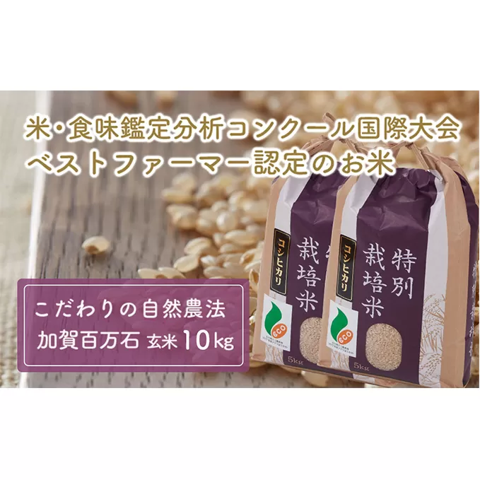  加賀百万石特別栽培米コシヒカリ玄米10kg お米 精米 こしひかり 