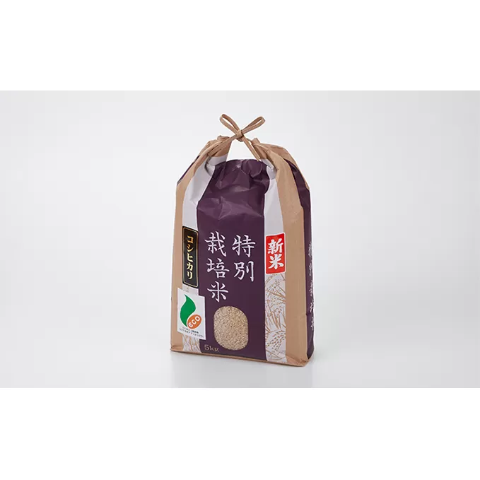  加賀百万石特別栽培米コシヒカリ玄米5kg お米 精米 こしひかり 