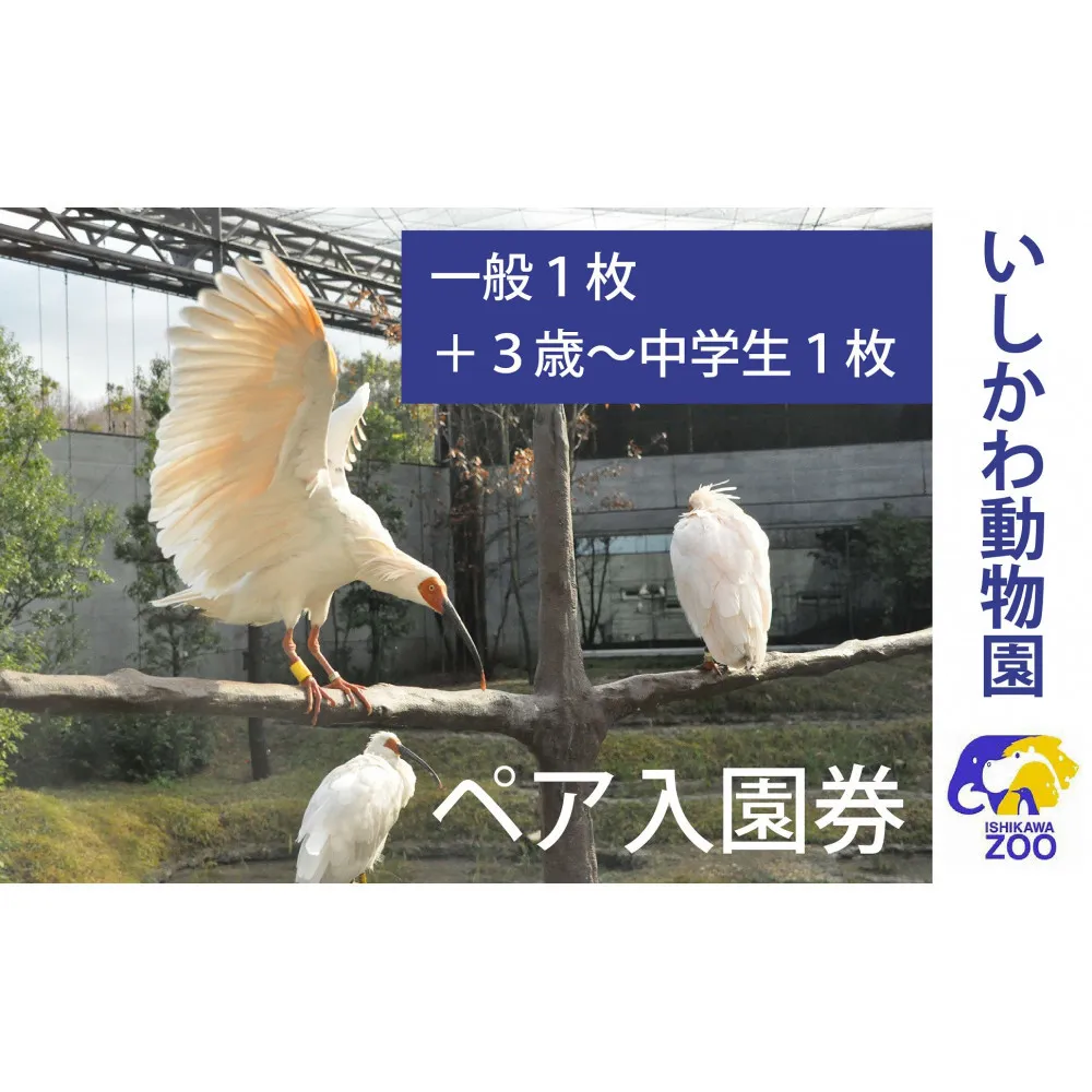 チケット いしかわ動物園ペア入園券(一般+3歳以上中学生以下)石川県 能美市