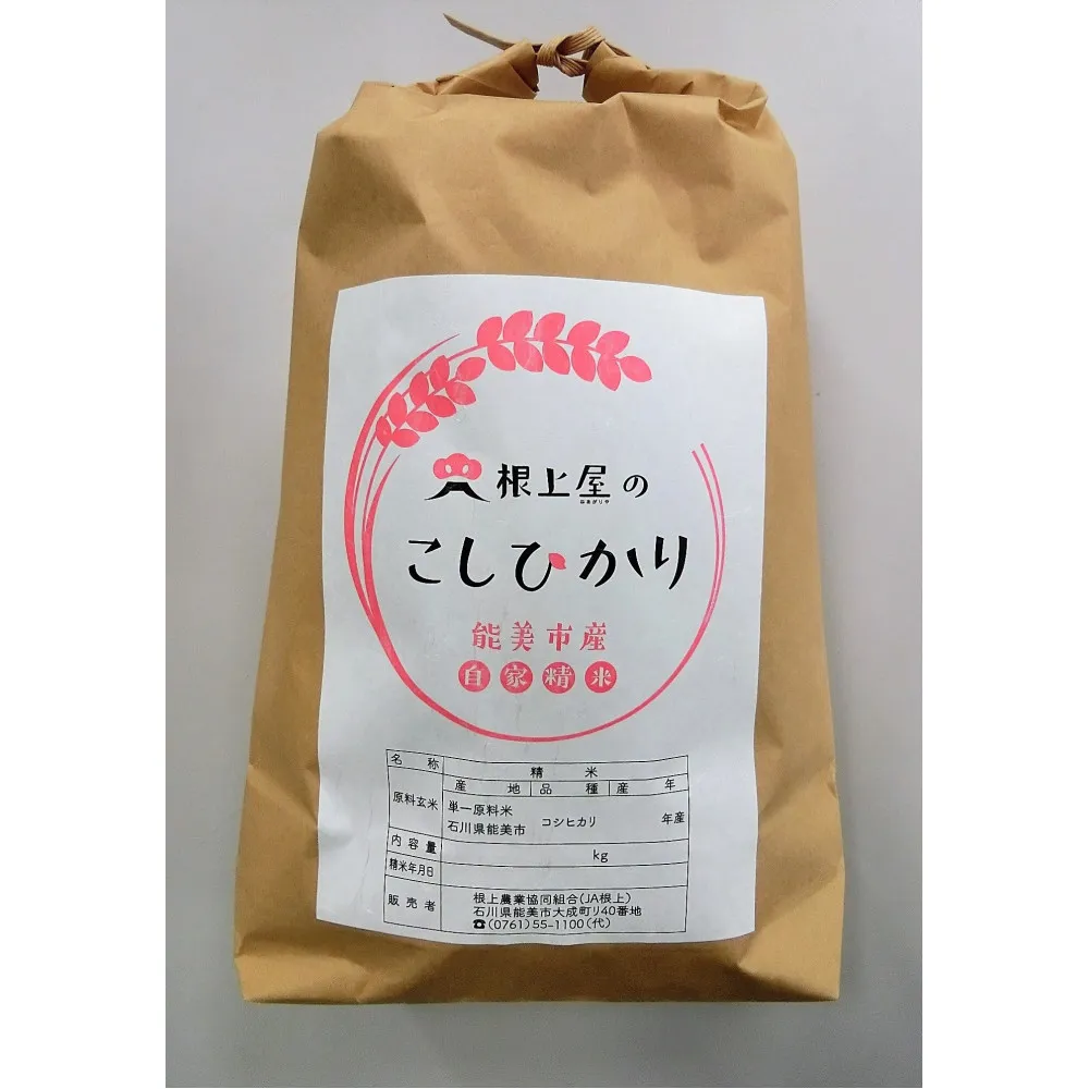根上屋のこしひかり 10kg