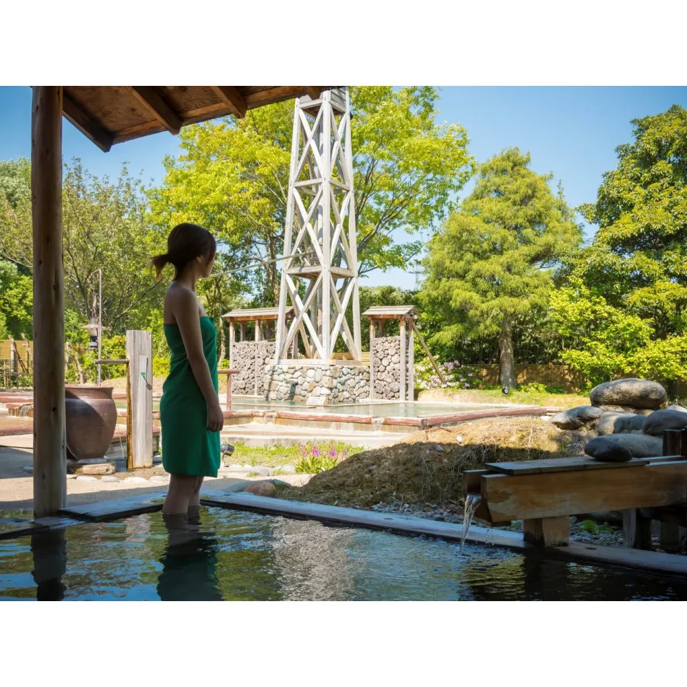 【能登半島地震復興支援】辰口温泉 たがわ龍泉閣半露天温泉風呂付「椿苑」ペアー宿泊券