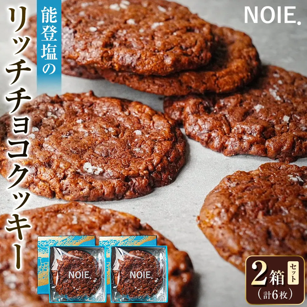 【2箱セット】能登塩のリッチチョコクッキー 能美市 クッキー 菓子 焼き菓子 お菓子 おやつ スイーツ デザート ギフト