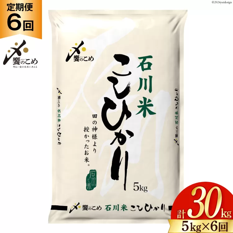 米 定期便 石川米こしひかり【穂立】5kg×6回 総計30kg [中橋商事 石川県 宝達志水町 38601131] コシヒカリ お米 コメ 6ヶ月 白米 精米 おこめ こめ 能登 5kg 5キロ