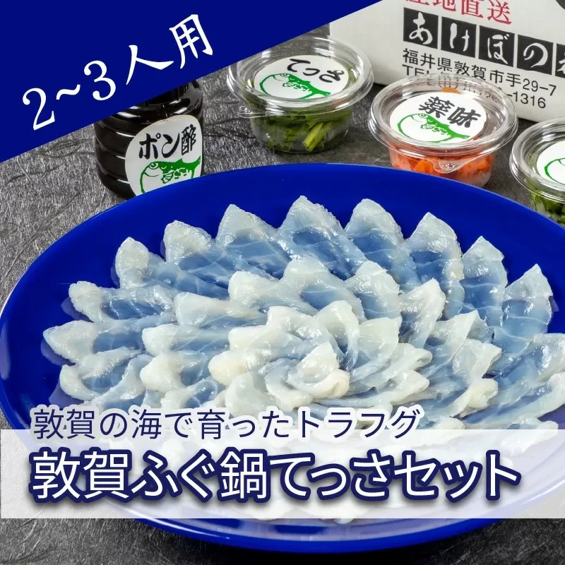 フグ 敦賀ふぐ鍋てっさ セット（2〜3人前）【冷凍 海鮮 てっちり てっさ 刺身 トラフグ ふぐ 河豚 鍋 なべ】 [041-c007]【敦賀市ふるさと納税】