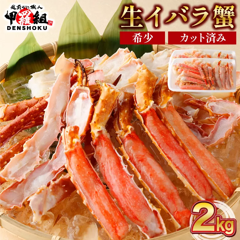 生イバラガニハーフポーション 2kg （生食可）[024-b225]【敦賀市ふるさと納税】