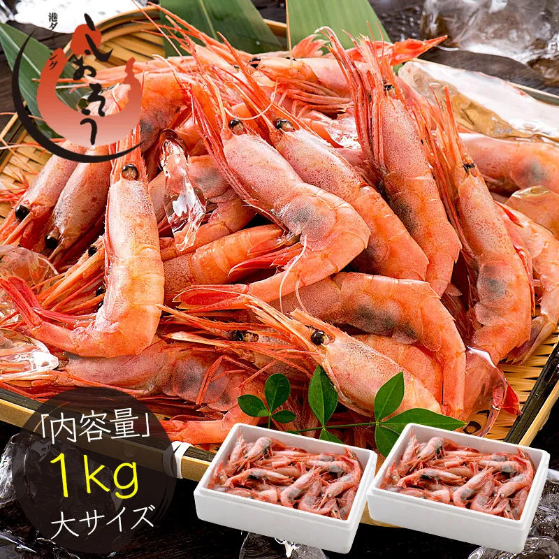 福井県敦賀産 甘えび・子持ち 大サイズ 約1kg（約80～90尾）[053-a243(20)]【敦賀市ふるさと納税】