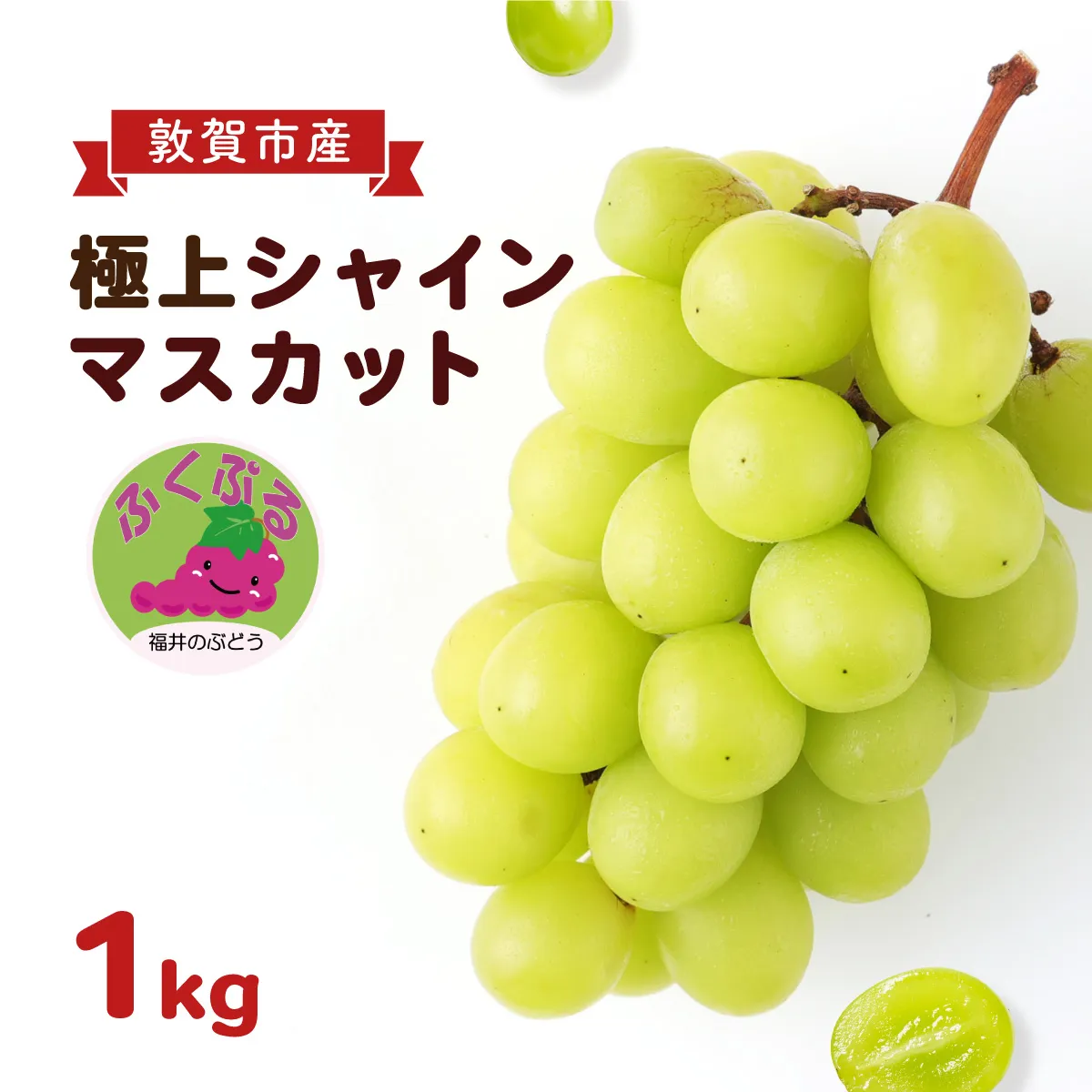 シャインマスカット 「ふくぷる」 1.0kg 敦賀市産  生産者直送！ 福井の ブランドぶどう 【マスカット ぶどう ブドウ 葡萄 旬 フルーツ 果物 くだもの 果実 大粒 種なし 人気 訳あり お中元 ギフト 贈り物 贈答 】[003-a103]