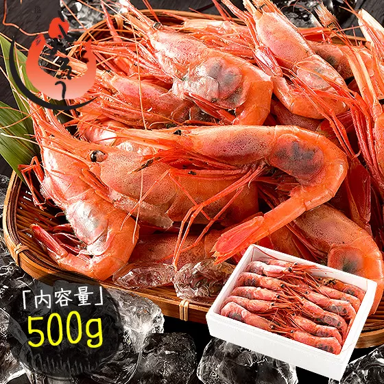 福井県敦賀産甘えび・子持ちE大サイズ約500g(約30尾) [053-a028]【敦賀市ふるさと納税】