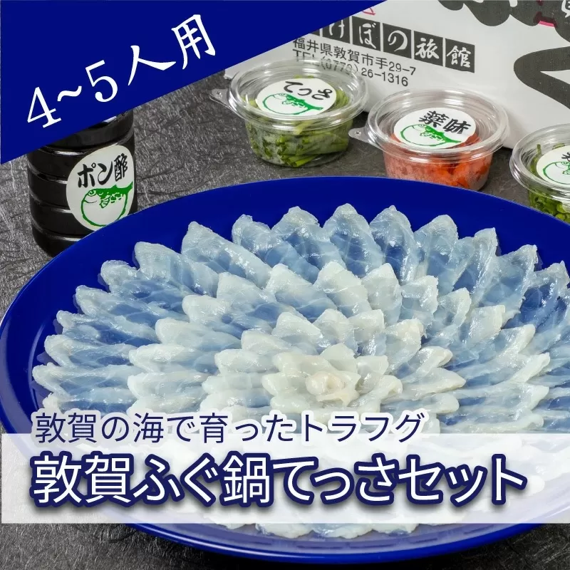 ＜先行予約＞【11月発送】フグ 敦賀ふぐ鍋てっさセット（4〜5人用） 【冷蔵 ふぐ刺し 河豚 ふぐ 海鮮 鍋 なべ】 [041-f004]【敦賀市ふるさと納税】