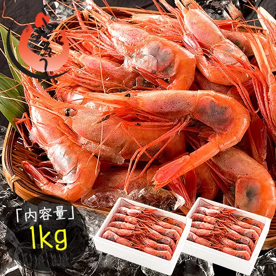 福井県敦賀産甘えび・子持ちE大サイズ約1kg(約60尾) [053-a027]【敦賀市ふるさと納税】
