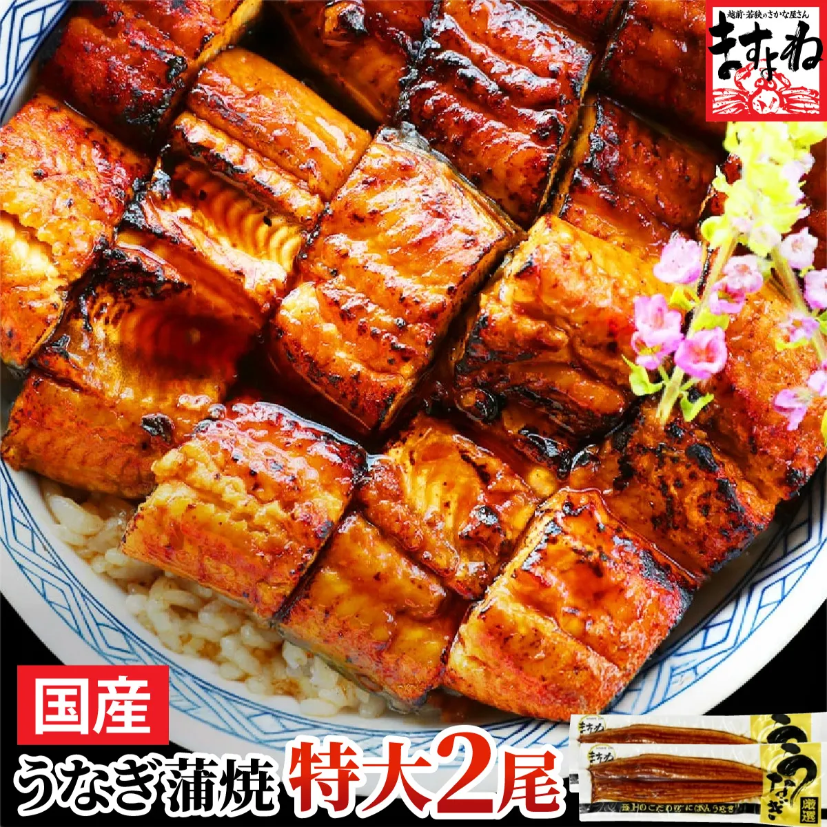 国産うなぎ蒲焼き2尾セット（約165g×2尾）【ますよね】 [001-a032(20)]【敦賀市ふるさと納税】