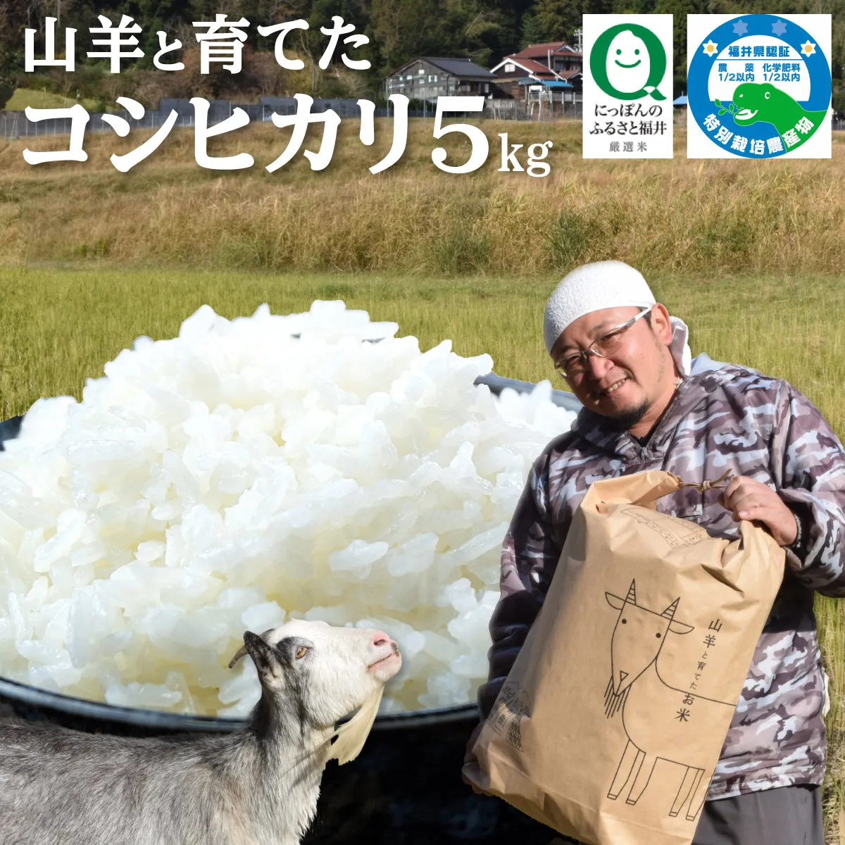 令和7年産 福井県産 特別栽培米 『コシヒカリ』5kg (単一原料米) ＜数量限定＞[003-a001-A]【敦賀市ふるさと納税】