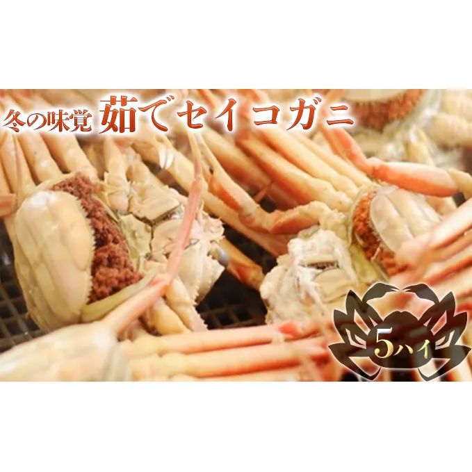 お歳暮 茹で セイコガニ メス 5杯 セット 詰め合わせ 冬の味覚 カニ 蟹 かに 茹でカニ せいこ蟹 カニセット 魚介 魚介類 海鮮 海鮮セット 福井 福井県 若狭町
