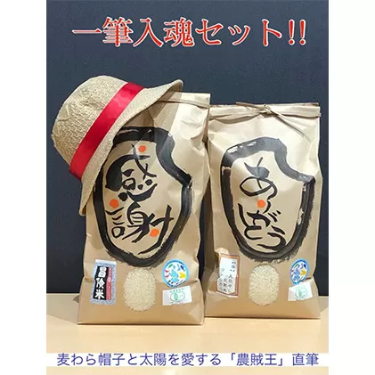 10セットのみ　米農家「尾崎ファーム農賊団」の『一筆入魂』セット　目白大学の学生が考案、その2 お米 コシヒカリ 