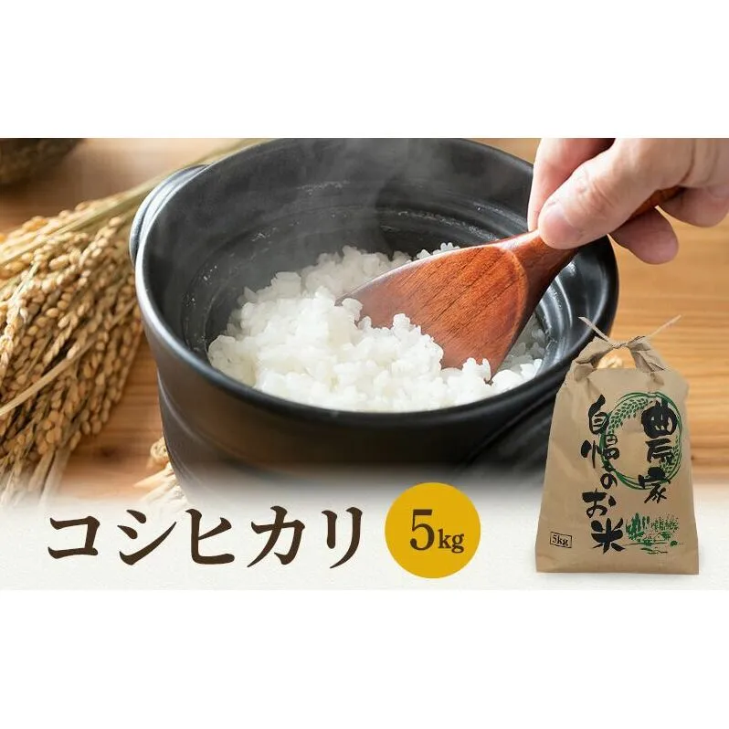 米 令和7年 コシヒカリ 5kg 一等米 お米 おこめ こめ コメ 白米 精米 新米 ご飯 ごはん 山心ファーム 福井県 福井 