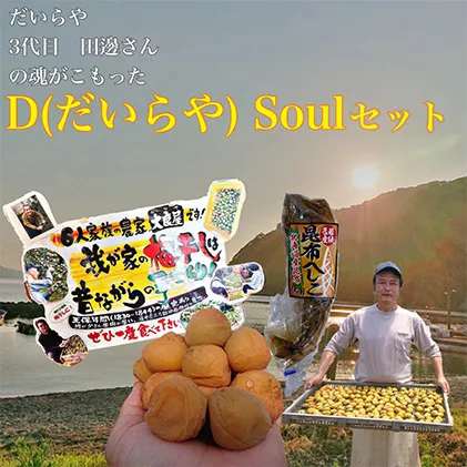 三代目 D Soul セット　目白大学の学生が考案、その9 梅干し 魚貝類 加工食品 