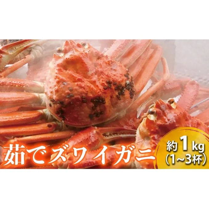 茹で ズワイガニ 約1kg (1～3杯) セット 詰め合わせ 脚折れ含む カニ 蟹 かに 茹でカニ ずわい蟹 ずわいがに カニセット 魚介 魚介類 海鮮 海鮮セット 福井 福井県 若狭町