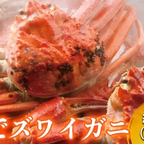 茹で ズワイガニ 約1kg (1～3杯) セット 詰め合わせ 脚折れ含む カニ 蟹 かに 茹でカニ ずわい蟹 ずわいがに カニセット 魚介 魚介類 海鮮 海鮮セット 福井 福井県 若狭町