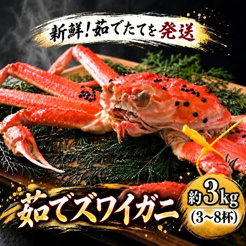 茹で ズワイガニ 約3kg (3～8杯) セット 詰め合わせ 脚折れ含む カニ 蟹 かに 茹でカニ ずわい蟹 ずわいがに カニセット 魚介 魚介類 海鮮 海鮮セット 福井 福井県 若狭町