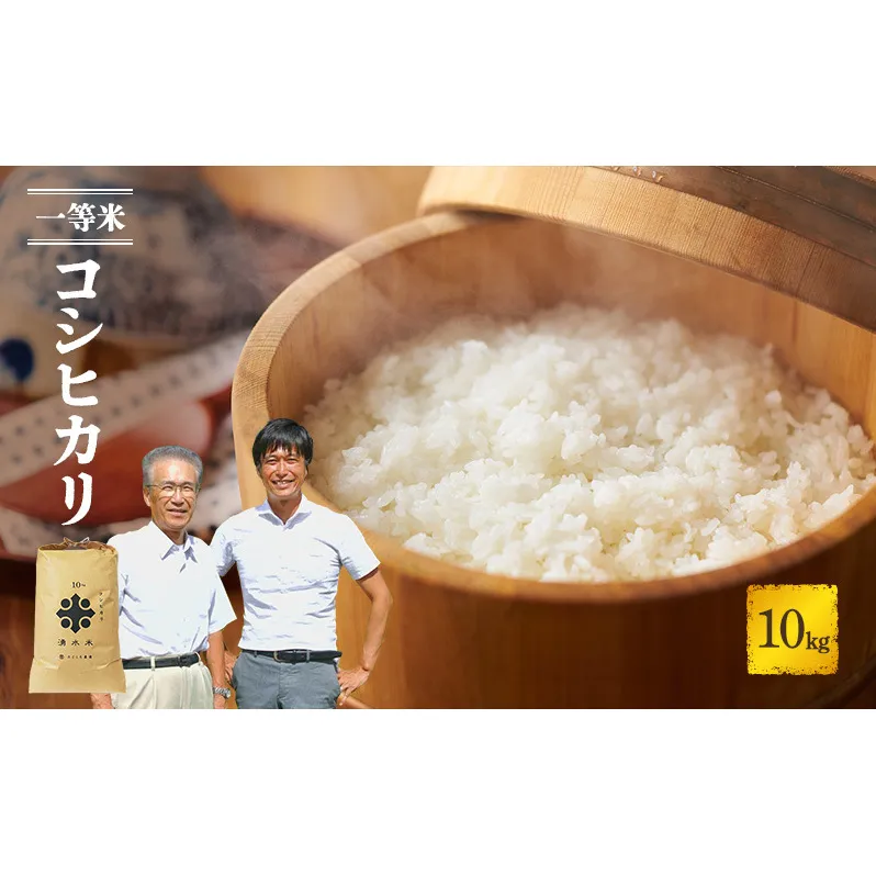 米 コシヒカリ 10kg 産地直送 一等米 特A 特A米 お米 白米 精米 新米 ご飯 令和6年産 10キロ おこめ こめ コメ ごはん こしひかり 福井県 福井 若狭町 若狭 送料無料