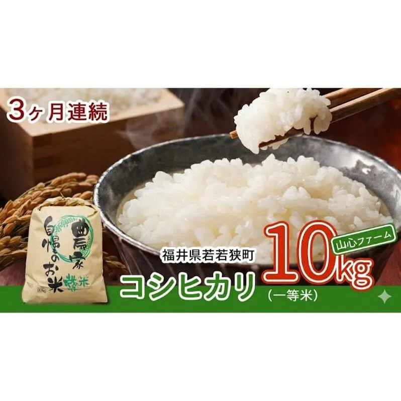 【3ヶ月連続】令和8年産福井県若狭町コシヒカリ（一等米）10kg（山心ファーム） お米 福井県産 甘い
