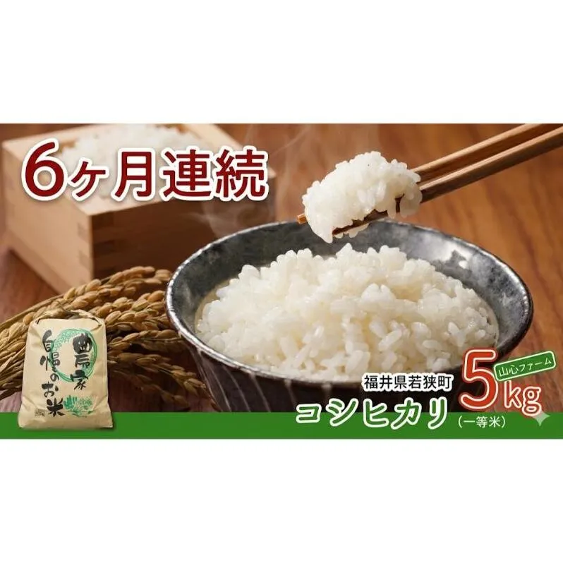 【6ヶ月連続】令和8年産福井県若狭町コシヒカリ（一等米）5kg（山心ファーム） お米 福井県産 甘い