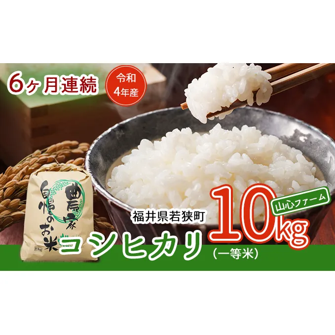 【6ヶ月連続】令和5年産福井県若狭町コシヒカリ（一等米）10kg（山心ファーム）