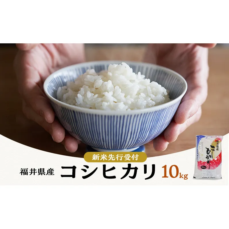 米 コシヒカリ 10kg 産地直送 一等米 お米 白米 精米 新米 ご飯 10キロ おこめ こめ コメ ごはん こしひかり 福井県 福井 若狭町 若狭 送料無料 令和6年 令和6年産 2024年 発送 年内発送