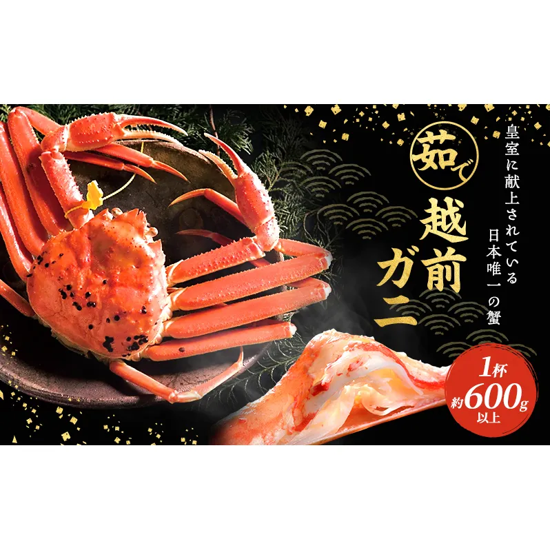 期間限定 茹で 越前ガニ 約600g以上 1杯  食通もうなる本場の味をぜひご堪能ください 越前カニ ズワイガニ カニ 蟹 海鮮 福井県 若狭町
