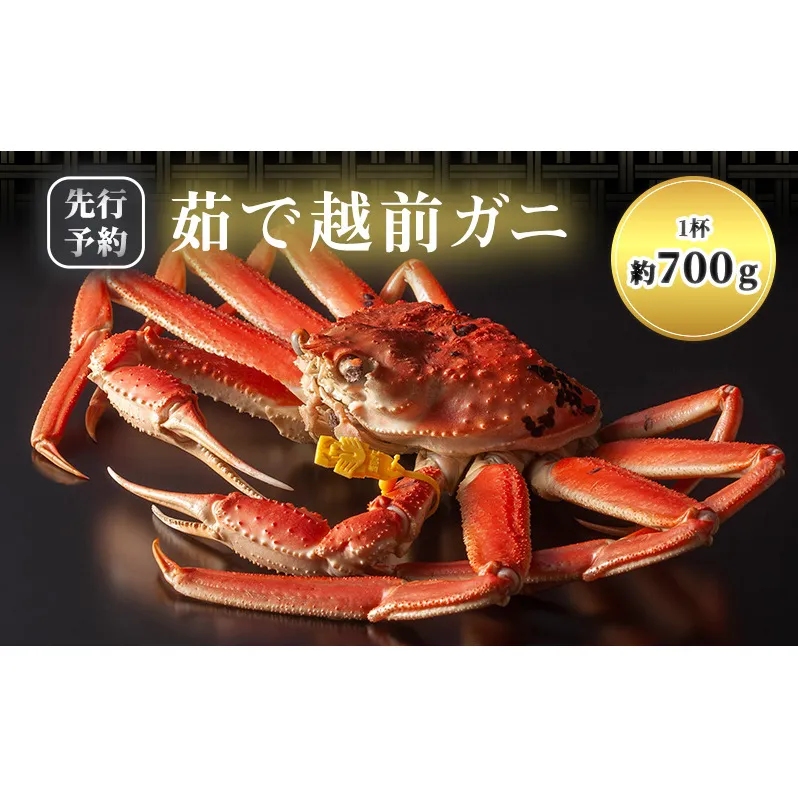 期間限定 茹で 越前ガニ 約700g以上 1杯  茹でガニ 越前カニ 越前蟹 ズワイガニ ずわい蟹 カニ かに 蟹 ボイルカニ ボイル蟹 ポーション 魚介 魚介類 海鮮 限定 福井 福井県 若狭町