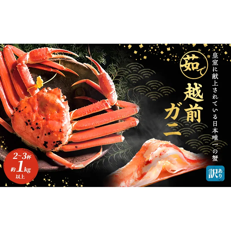 訳あり 期間限定 茹で 越前ガニ 約1kg以上 2～3杯  食通もうなる本場の味をご堪能ください 脚折れ ズワイガニ 海鮮 福井県 若狭町