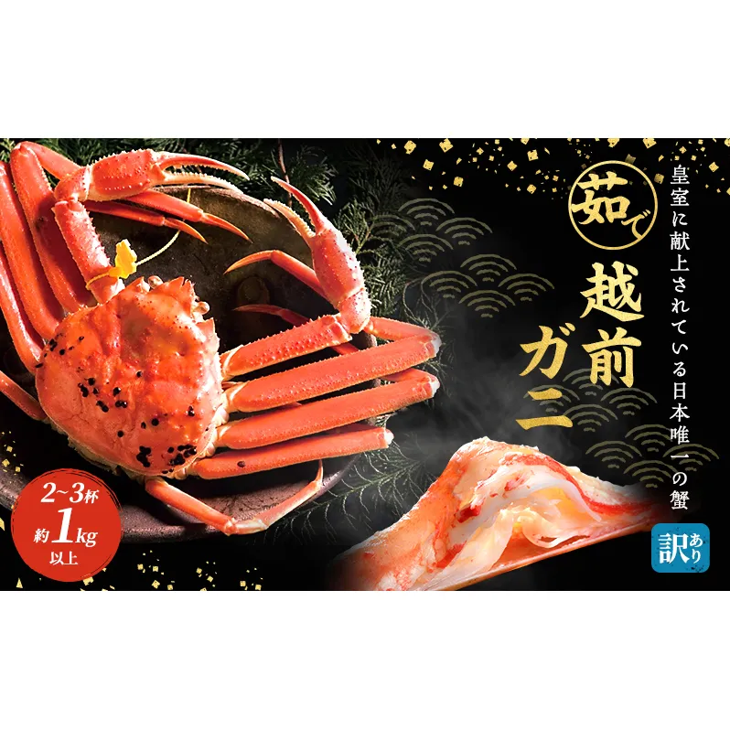 訳あり 茹で 越前ガニ 約1kg以上 2～3杯 年末配送 食通もうなる本場の味をぜひ、ご堪能ください 越前かに 蟹 カニ かに ボイルカニ ボイル蟹 ポーション ズワイガニ 海鮮 脚折れ 訳アリ 福井 福井県 若狭町