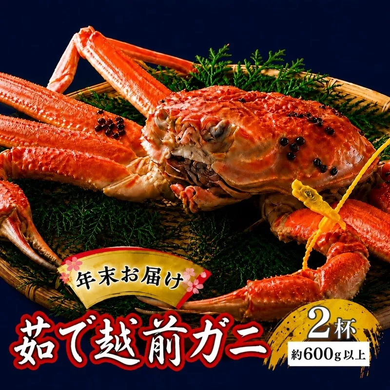 かに 年末に届く 茹で 越前がに 約600g 2杯 セット ずわい蟹 ボイルカニ ボイル 年末