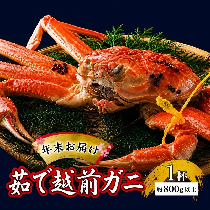 茹で越前ガニ【年末お届け】食通もうなる本場の味をぜひ、ご堪能ください。約800g以上×1杯 越前がに 越前かに 越前カニ ずわいがに かに カニ ボイルガニ 蟹