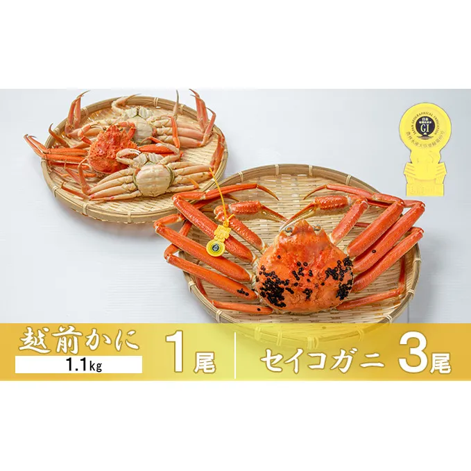 茹で越前ガニ【期間限定】食通もうなる本場の味をぜひ、ご堪能ください。セイコガニセット 約1.1kg＋セイコガニ3杯 越前がに 越前かに 越前カニ カニ ボイルガニ 蟹 