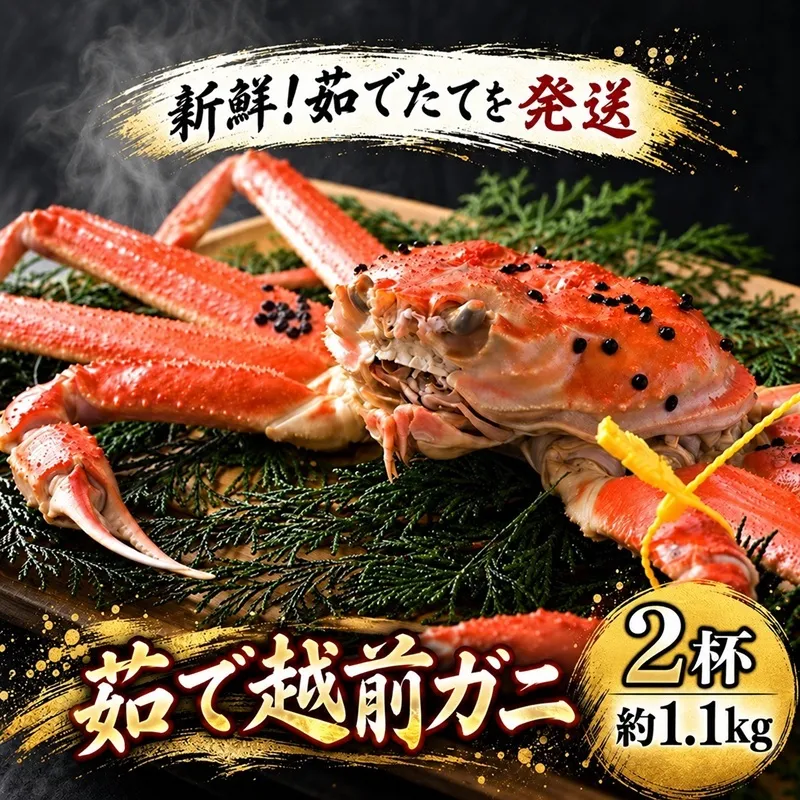 茹で越前ガニ【期間限定】食通もうなる本場の味をぜひ、ご堪能ください。約1.1kg 2尾セット 越前がに 越前かに 越前カニ カニ ボイルガニ ずわい蟹 ずわいガニ ズワイガニ 蟹