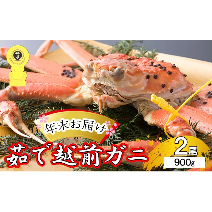 茹で越前ガニ【年末お届け】食通もうなる本場の味をぜひ、ご堪能ください。約900g 2尾セット 越前がに 越前かに 越前カニ カニ ボイルガニ 蟹 