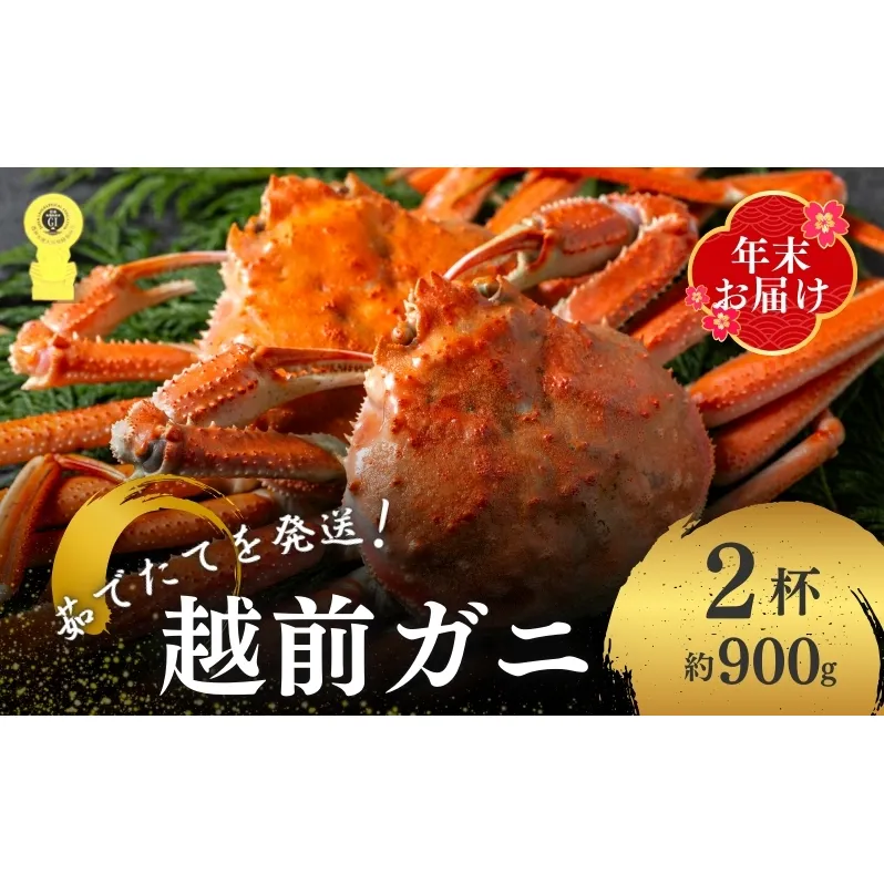 茹で越前ガニ【年末お届け】食通もうなる本場の味をぜひ、ご堪能ください。約900g 2尾セット 越前がに 越前かに 越前カニ カニ ボイルガニ 蟹