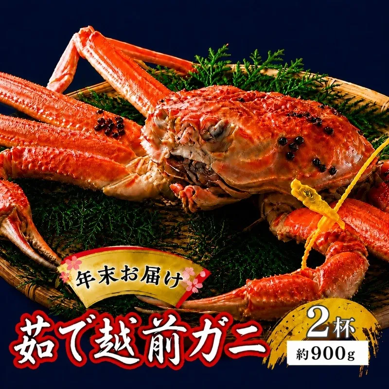 茹で越前ガニ【年末お届け】食通もうなる本場の味をぜひ、ご堪能ください。約900g 2尾セット 越前がに 越前かに 越前カニ カニ ボイルガニ 蟹