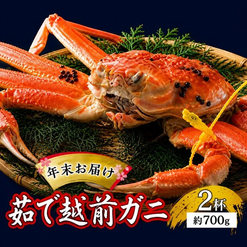 茹で越前ガニ【年末お届け】食通もうなる本場の味をぜひ、ご堪能ください。約700g 2尾セット 越前がに 越前かに 越前カニ カニ ボイルガニ 蟹