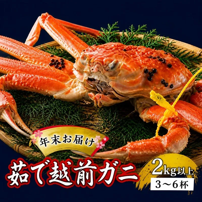 茹で越前ガニ【年末お届け】食通もうなる本場の味をぜひ、ご堪能ください。約2kg以上（3～6杯）訳あり（脚折れ含む）越前がに 越前かに ずわいがに かに カニ ボイルガニ 蟹