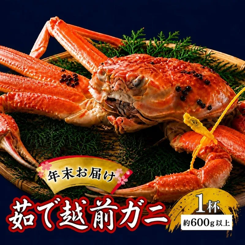 かに 年末配送 茹で 越前がに 約600g以上 1杯 ずわい蟹 ボイルカニ ボイル 魚介類